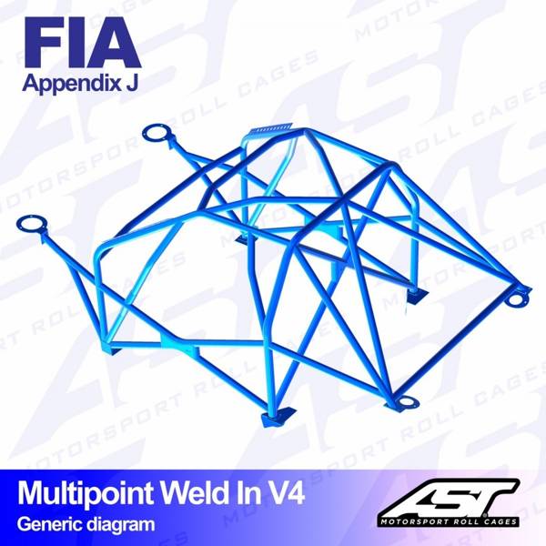 Roll Cage FORD Fiesta (Mk8) (JHH) 3-doors Hatchback MULTIPOINT WELD IN V4