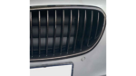 BM100540CBS - Sport Performance Grille Carbon Look suitable for BMW F10 F11 Bj. 10-18