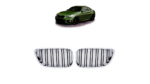 Sport Grille Dual Line Chrome & Black suitable for BMW 2 (F22) Coupe (F23) Convertible 2013-2021