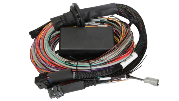 Haltech Universal cable for installation of Elite 1500 Premium 2.5 m