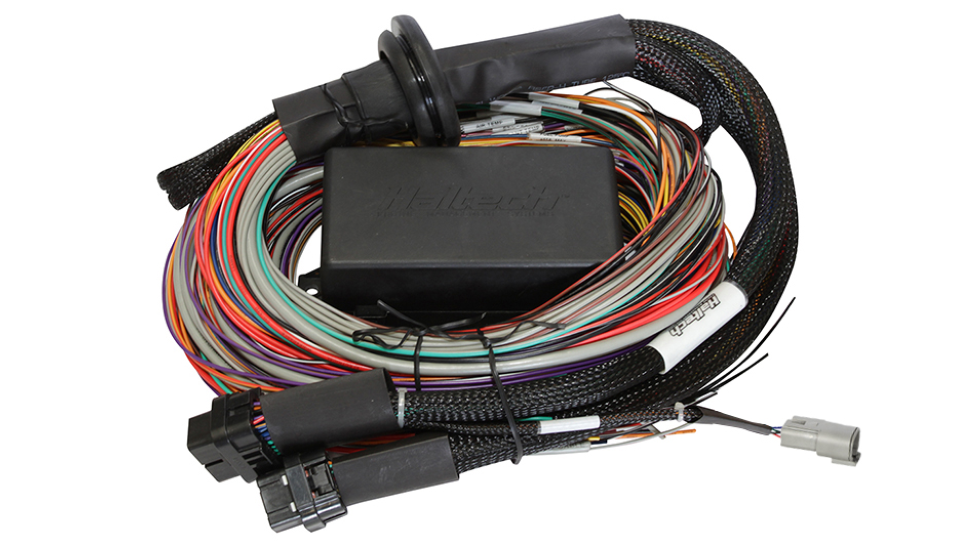 Haltech Universal cable for installation of Elite 2500 & 2500 T Premium 2.5 m