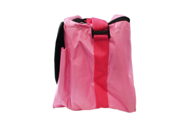 Daniel Washington Pink Bag