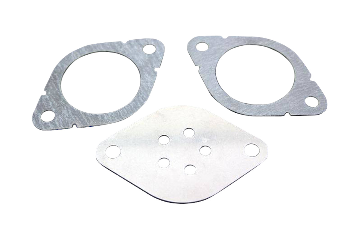 EGR plug kit with two gaskets